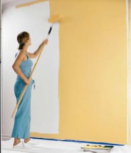 Правила окрашивания стен различной краской